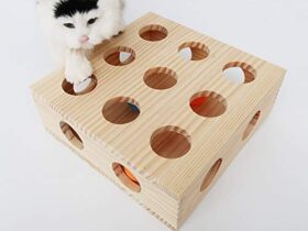 Wooden Cat Toy